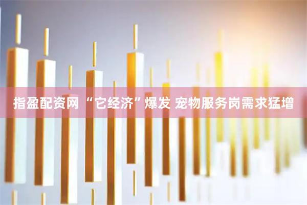 指盈配资网 “它经济”爆发 宠物服务岗需求猛增