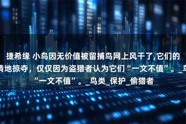 捷希缘 小鸟因无价值被留捕鸟网上风干了,它们的生命价值正被无情地掠夺，仅仅因为盗猎者认为它们“一文不值”。_鸟类_保护_偷猎者