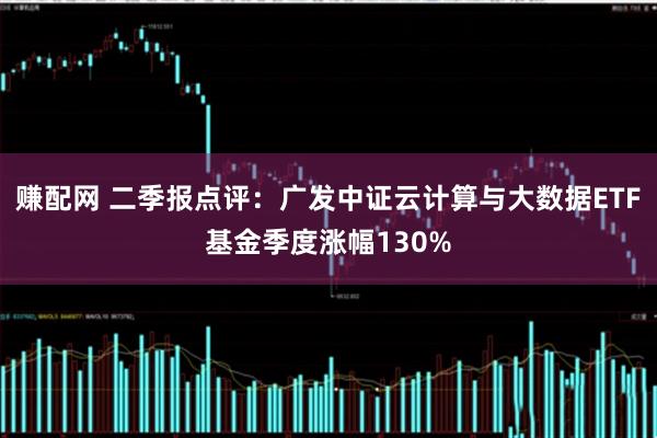 赚配网 二季报点评:广发中证云计算与大数据ETF基金季度涨幅130%